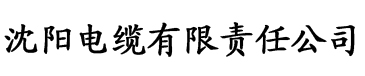 啊…别停…我要丢了电缆厂logo